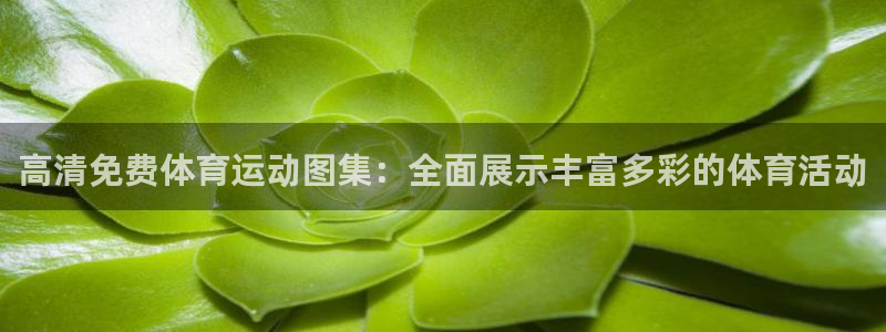 米兰体育官网入口：高清免费体育运动图集：全面展示丰富多彩的体育活动