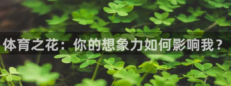 米兰体育场：体育之花：你的想象力如何影响我？
