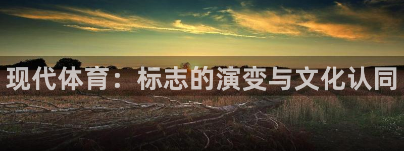 米兰体育app：现代体育：标志的演变与文化认同