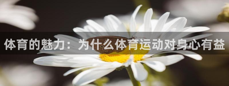 米兰体育在线：体育的魅力：为什么体育运动对身心有益