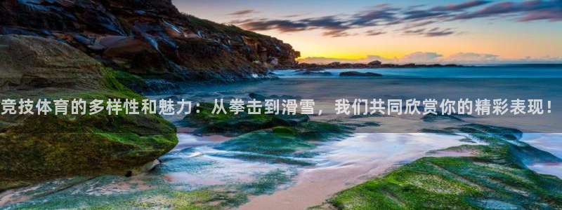 米兰体育入口：竞技体育的多样性和魅力：从拳击到滑雪，我们共同欣赏你的精彩表现！
